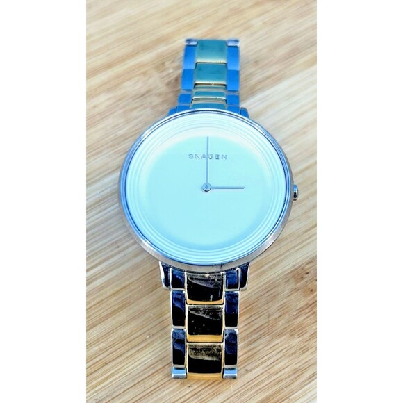 Skagen Accessories - Skagen Ditte Silver Dial Two-tone Stainless Steel Ladies Watch SKW2339 Needs Bat